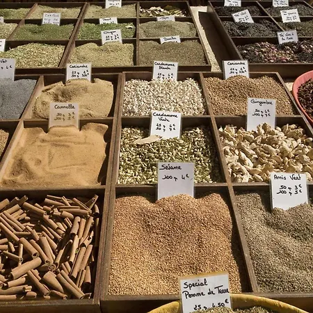 Sr040-a60 Appt 4 Personnes St Raphael