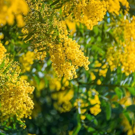 Sr040-a60 Appt 4 Personnes St Raphael * Saint-Raphael (Var)