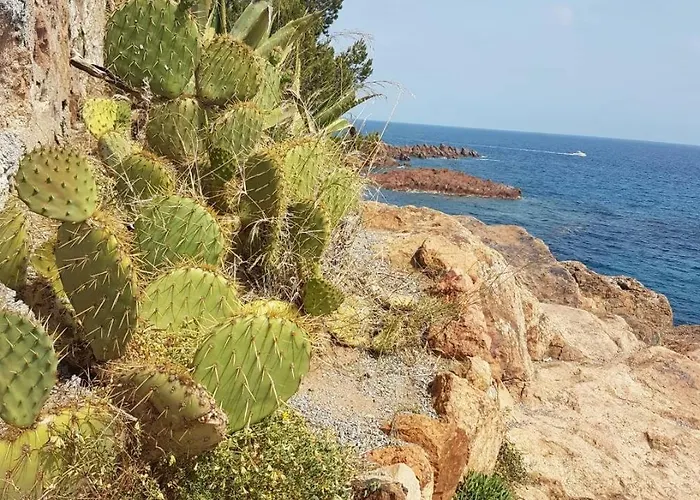 Sr040-a60 Appt 4 Personnes St Raphael