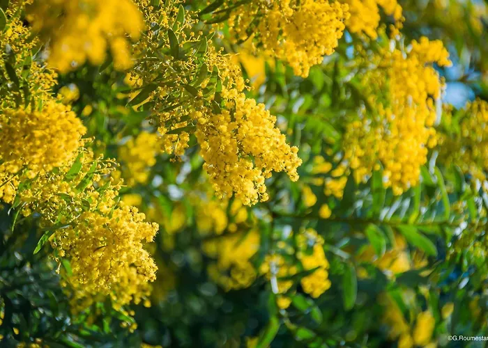 Sr040-a60 Appt 4 Personnes St Raphael * Saint-Raphaël